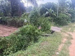 Land for Sale in Padukka