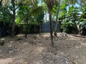 Land for Rent in Piliyandala Town