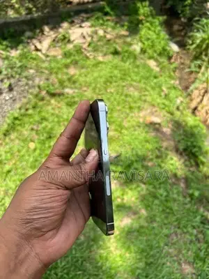 Apple iPhone 13 Pro 256gb (Used)