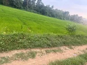 Land for Sale in Padukka