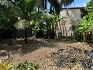 Land for Rent in Piliyandala Town