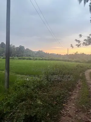 Land for Sale in Padukka