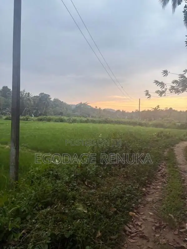 Land for Sale in Padukka