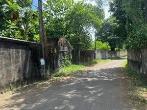 Land for Rent in Piliyandala Town