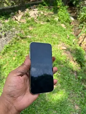 Apple iPhone 13 Pro 256gb (Used)