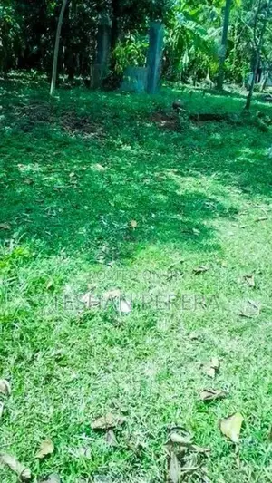 පර්.30 හතරැස් බිම්කොටස මාකොල