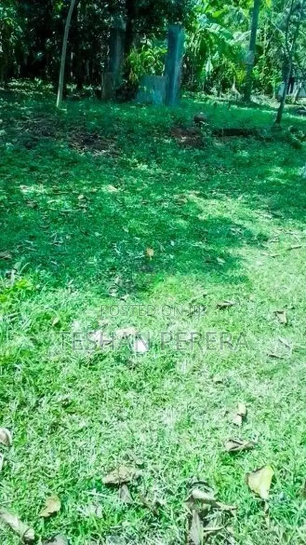පර්.30 හතරැස් බිම්කොටස මාකොල