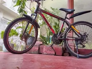 Mountain Bicycle