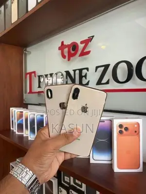 Apple iPhone XS (Used)