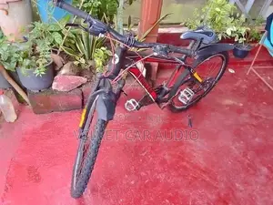 Mountain Bicycle