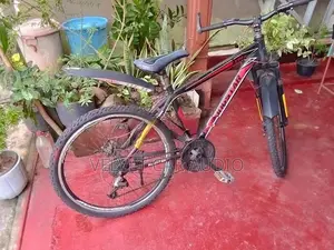 Mountain Bicycle