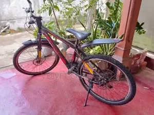 Mountain Bicycle