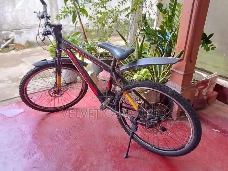 Mountain Bicycle