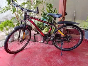 Mountain Bicycle