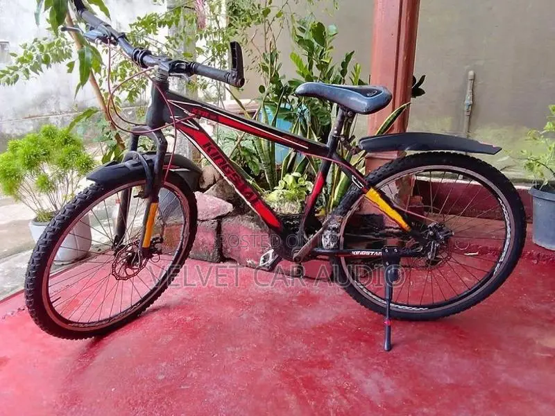 Mountain Bicycle