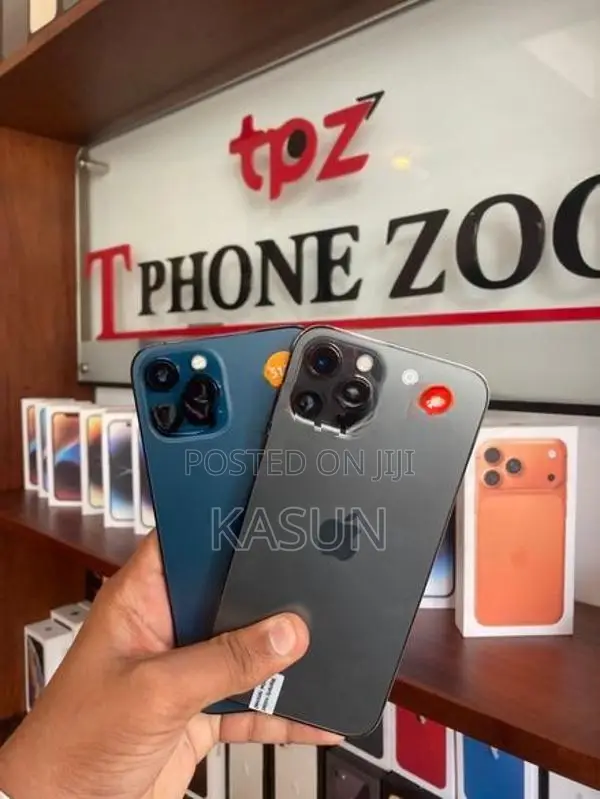 Apple iPhone 12 Pro Max (Used)