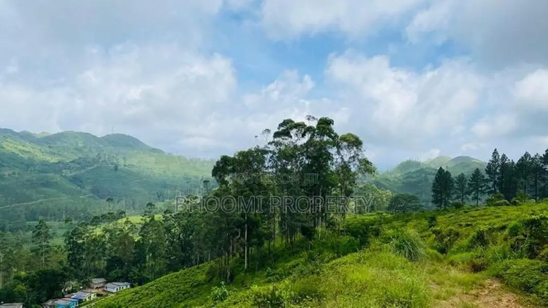 Land for sale in Hatton