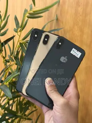 Apple iPhone XS 256GB (Used)