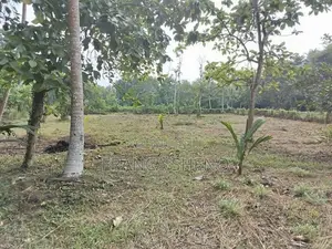 Land with House for Sale - Katana