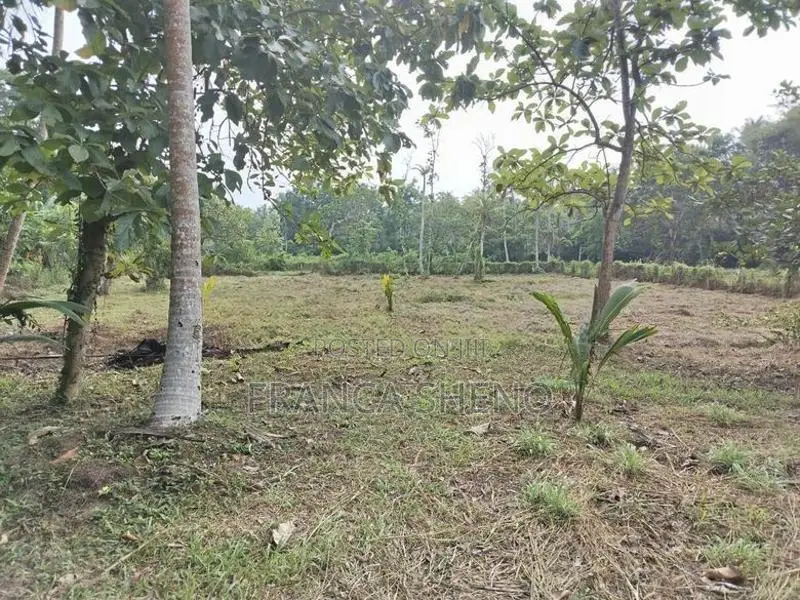 Land with House for Sale - Katana