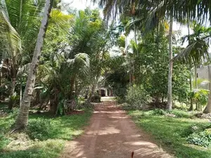 Land with House for Sale - Katana