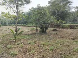 Land with House for Sale - Katana