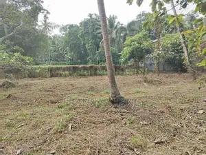 Land with House for Sale - Katana