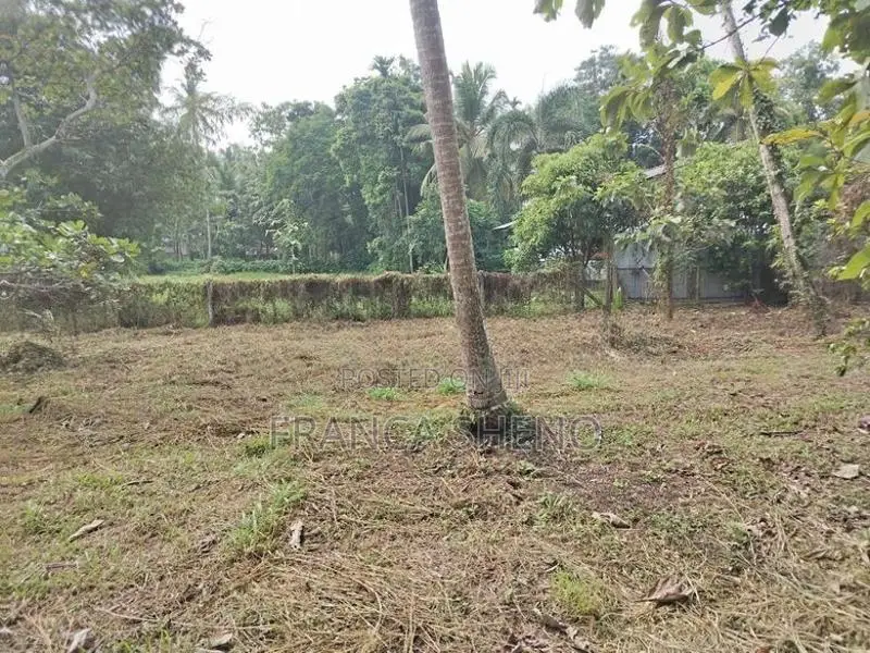Land with House for Sale - Katana