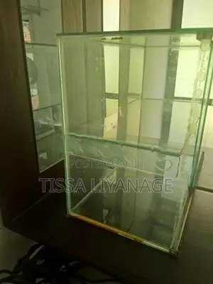 Glass Showcase