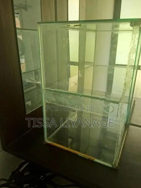 Glass Showcase