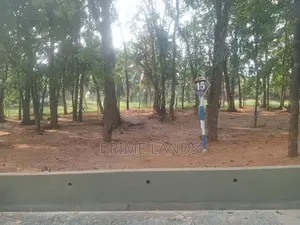 වටිනා මහෝගනී වත්තක් - කෑස්බෑව
