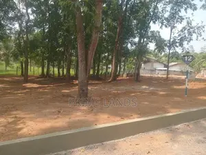වටිනා මහෝගනී වත්තක් - කෑස්බෑව