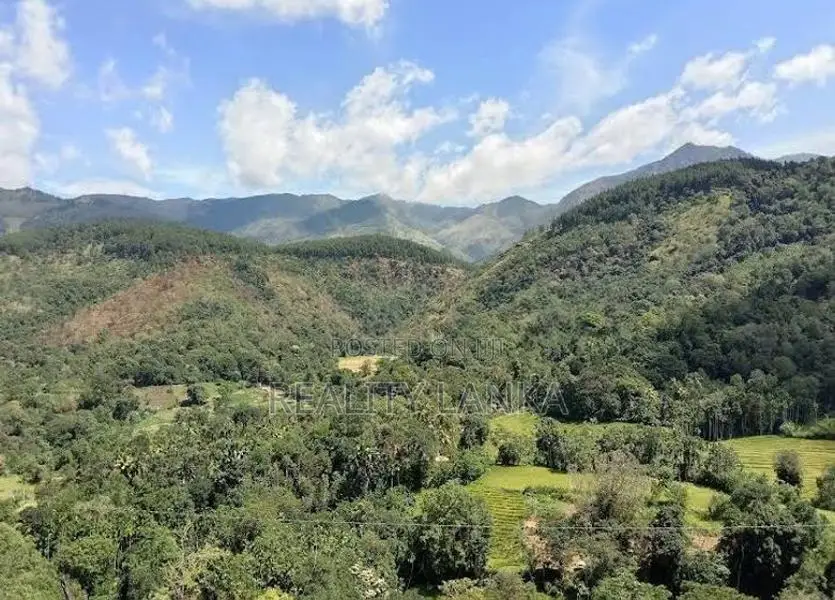 Estate for Sale (3692) Haldumulla