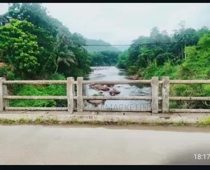 Land for Sale in Kitulgala