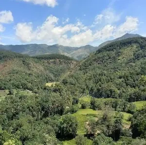 Estate for Sale (3692) Haldumulla