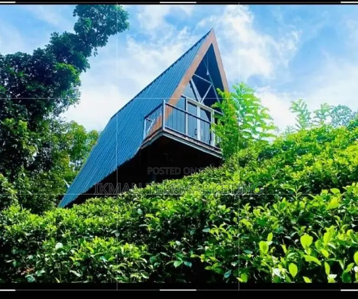 Land for Sale in Kitulgala