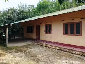 Estate for Sale (3692) Haldumulla