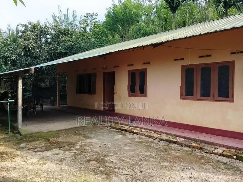 Estate for Sale (3692) Haldumulla