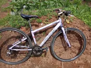 Louis Garneau Bicycle