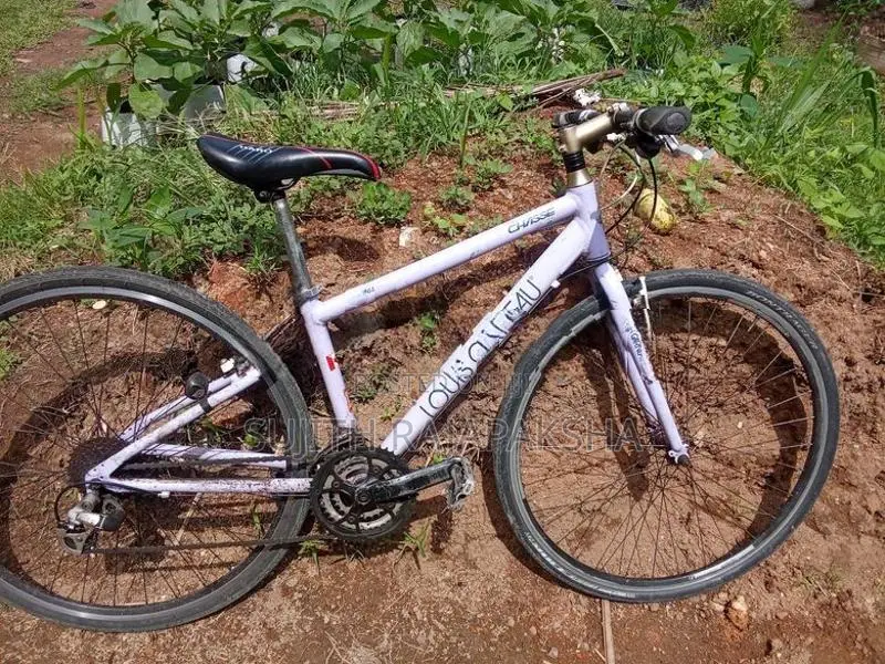 Louis Garneau Bicycle