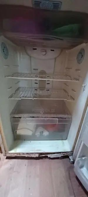 Samsung Fridge