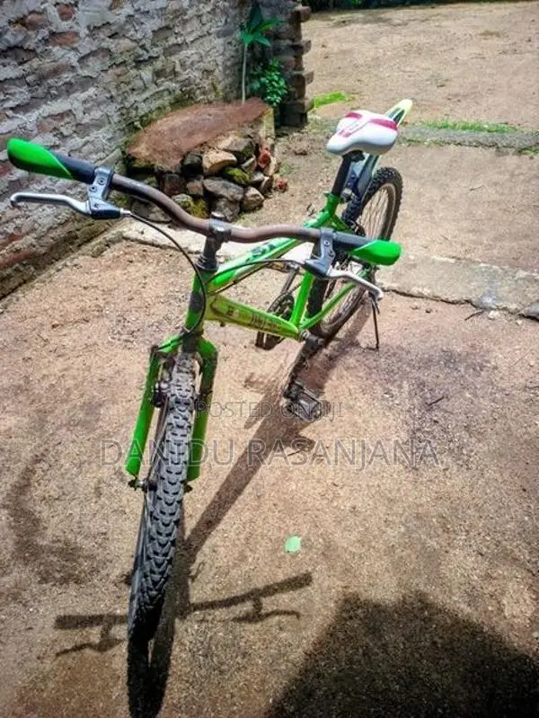 DSI Bicycle