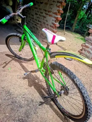 DSI Bicycle