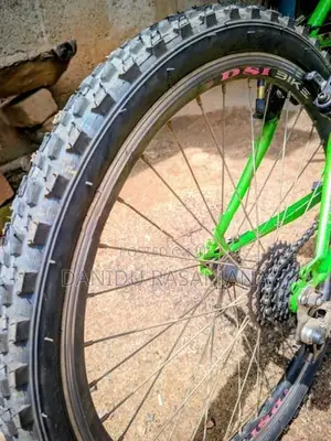 DSI Bicycle