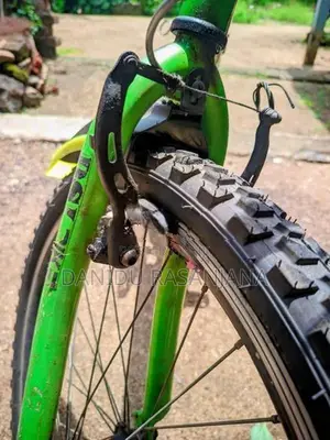 DSI Bicycle