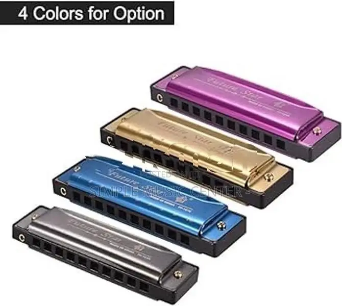BeginnerS 10-Hole C Key Professional Blues Harmonica | Mouth Organ