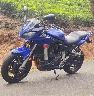 Yamaha Fazer Japan 2006