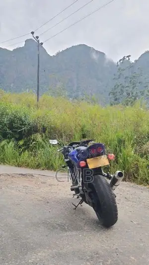 Yamaha Fazer Japan 2006