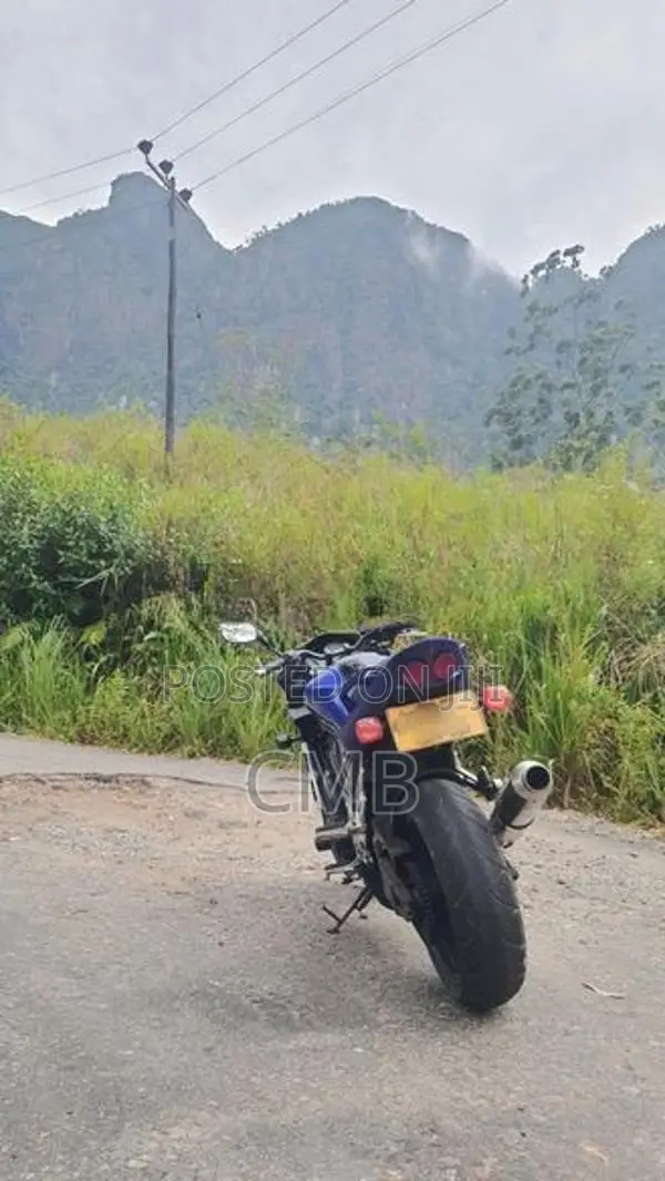 Yamaha Fazer Japan 2006