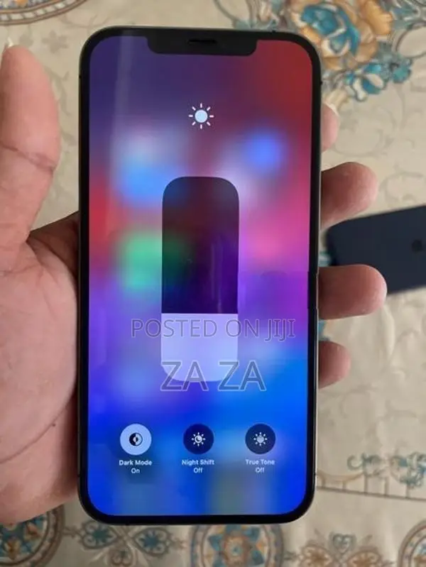 Apple iPhone 12 Pro Max (Used)